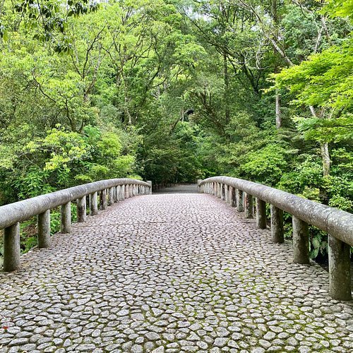 🏯 국가지정 사적 시마즈 가문 묘소(코쿠시테이시세키 카고시마시마즈케보쇼 (타마류산 후쿠쇼지아토)) 이미지 3